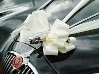 Aristocat Classic Jaguar Wedding Car Hire 1089099 Image 1